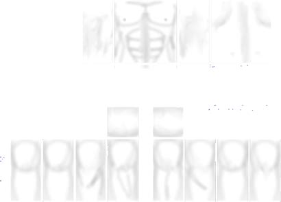 Roblox Muscle T Shirt Template Png Graphic Black And - Roblox 