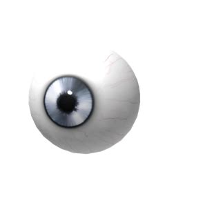 Roblox Notifier on Twitter: \"New hat - Platinum Eye https://t.co 