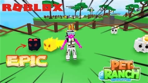 Roblox Pet Ranch Simulator Tutorial and Secret places!! | Roblox 