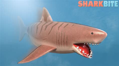 Roblox Shark Bite Wiki:Rules