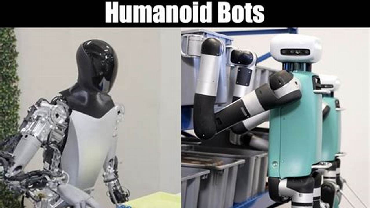 Robot 2024 Working