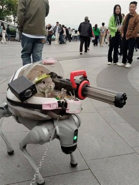 Robot Dog Meme