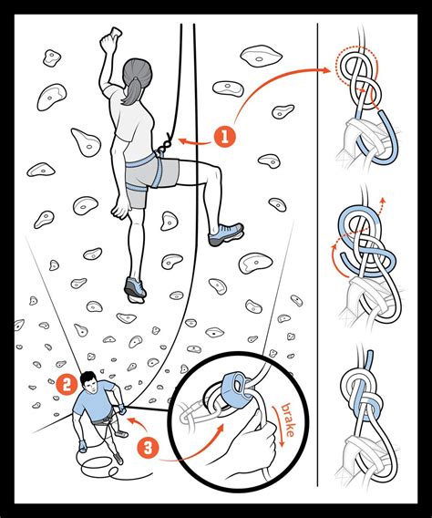 Rock Climbing Basics