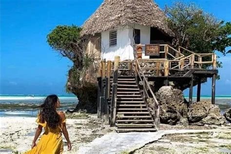 Rock Restaurant Dining Experience