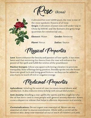 Unleashing the Mystical Charisma: Discover the Enchanting Rock Rose Magical Properties!