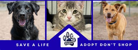 Expert Animal Control Services in Rock Springs, Wyoming - Keep Your Community Safe