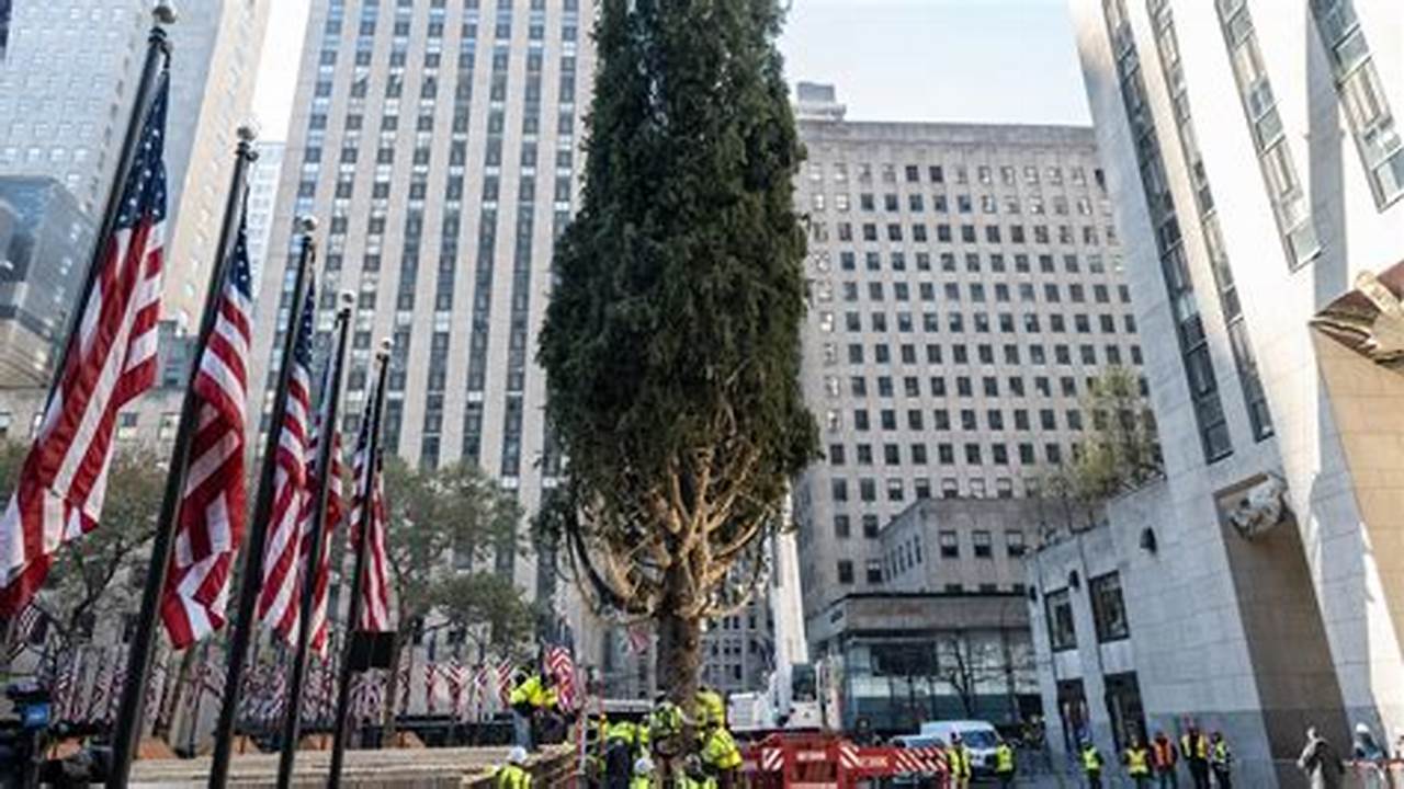 Rockefeller Tree Lighting 2024 Date And Time