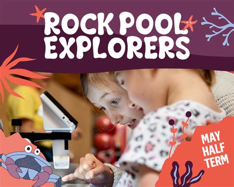 Rockpool Explorers
