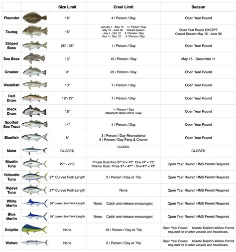 Rockport fishing size restrictions