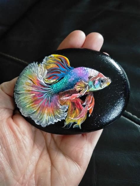 Rocks For Betta Fish