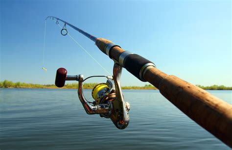 Rod Fishing