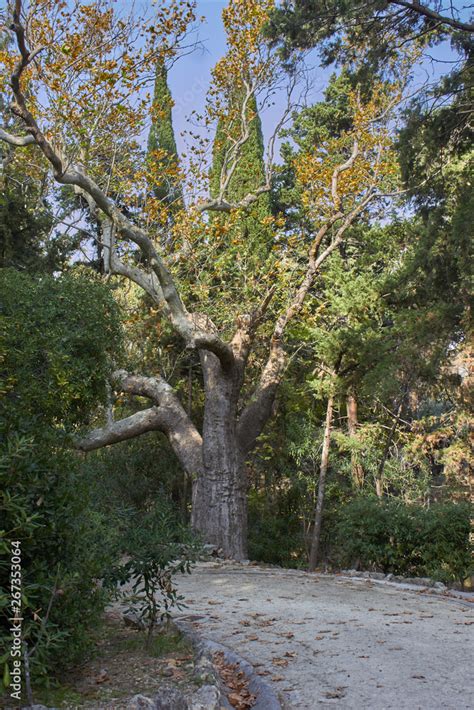 Rodos Explore the Farm S Paths: Honest Review & Guide