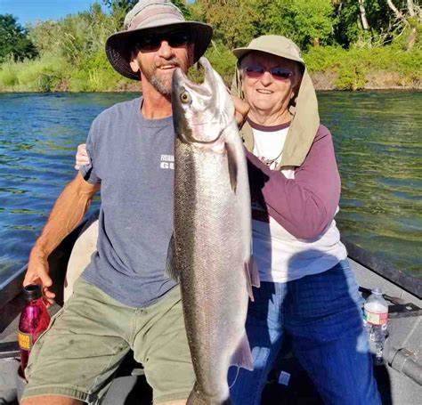 Rogue River Fishing Report