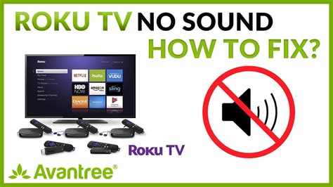Roku Has Sound But No Picture