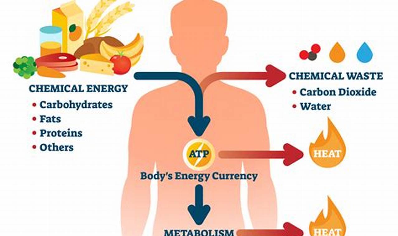 Role of genetics, metabolism in weight gain