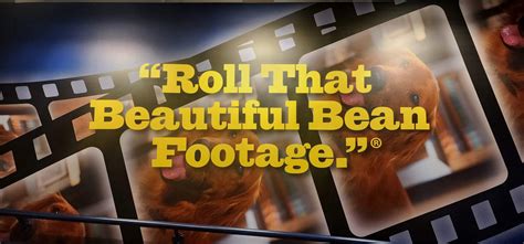 Unleash Your Senses with the Mesmerizing Roll That Beautiful Bean Footage - A Visual Delight!
