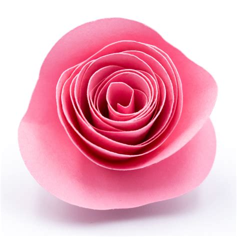 Download Rolled Flowers Images