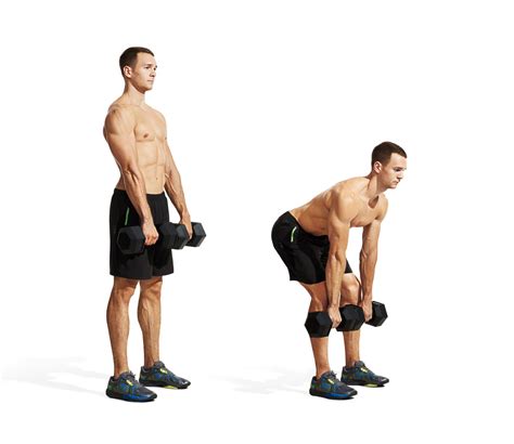Roman Deadlifts