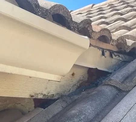 Roof Leak Phoenix Home