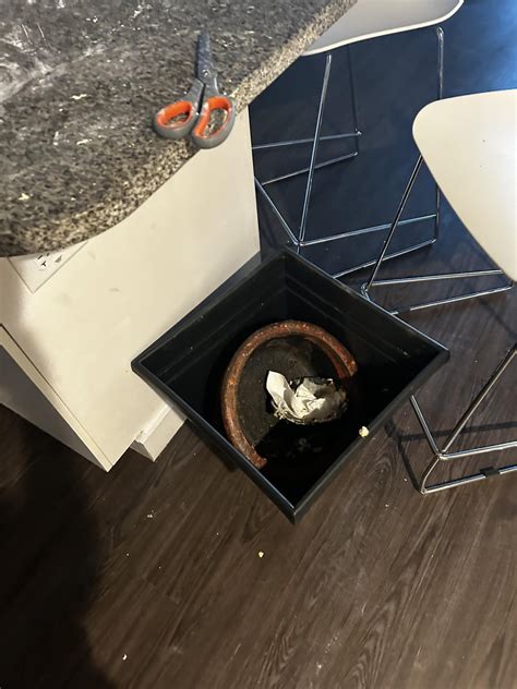 The Costly Consequences of Co-Living: How My Roommate's Carelessness Destroyed My Property