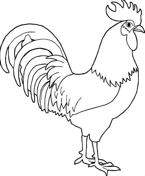 Rooster Coloring Pages