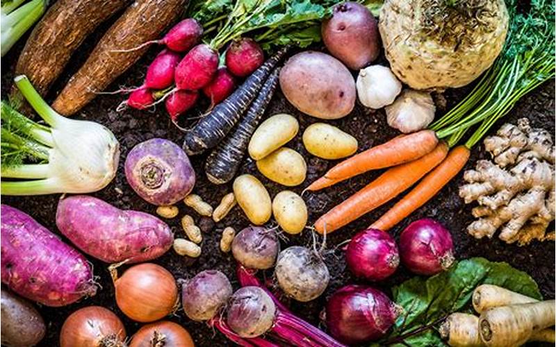can you grow root vegetables hydroponically