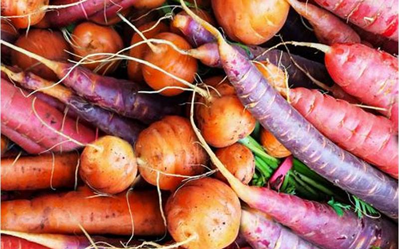 can you grow root vegetables with aquaponics