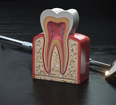 Root Canal Therapy in Raleigh: A Guide to Saving Your Tooth