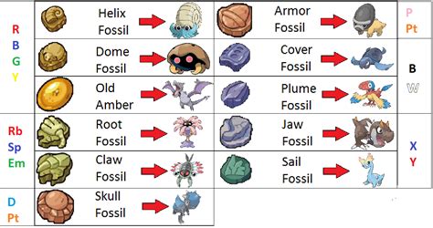 Root Fossil Vs Claw Fossil