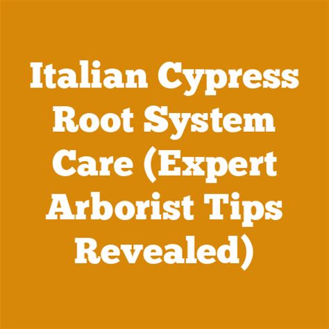 Root Insurance: Expert Guide And Tips