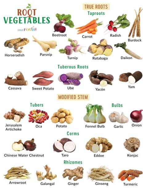 Image of Root vegetables.