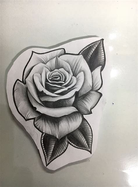 Wild Rose Tattoo Art for Stomach Barbed wire