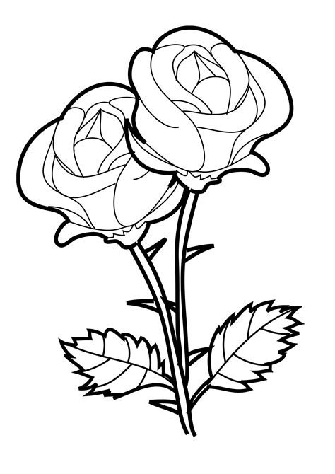 Rose Coloring Page Printable