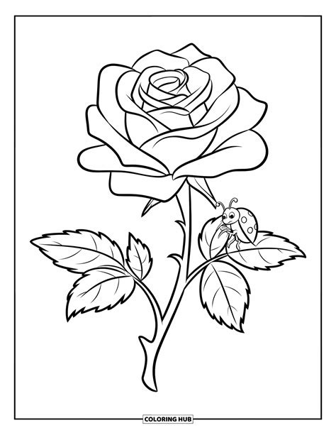 Rose Coloring Page