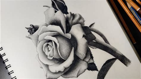 Rose Drawing Shading Techniques