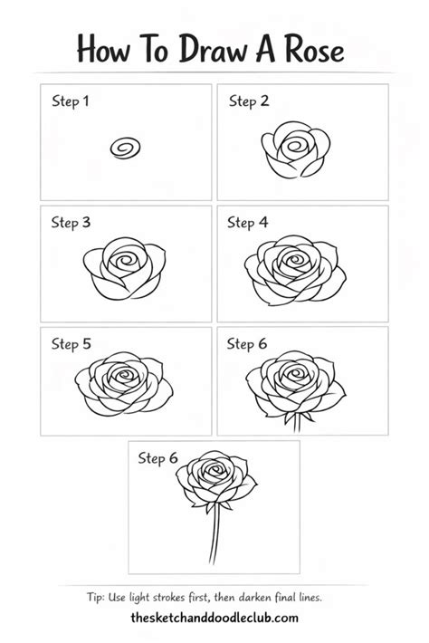 Rose Drawing Tutorials For Beginners