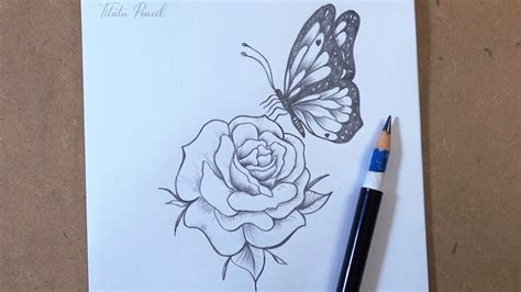 Rose Drawing With Butterfly
