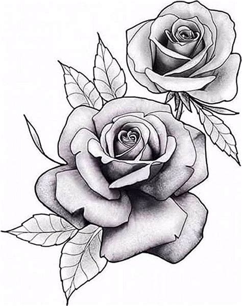 5 realistic roses of tattoo designs in black and grey