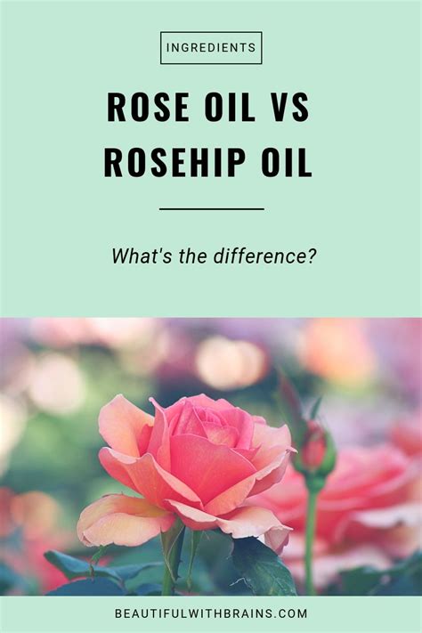 Rose vs. Rosehip: Understanding the Key Difference