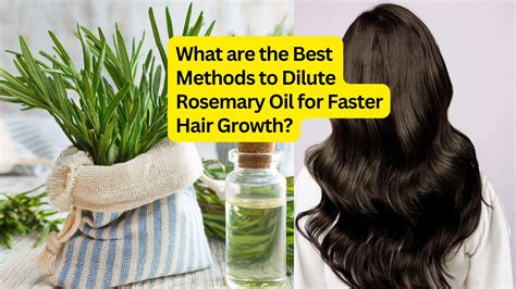 How to Use Your New Rosemary Oil Safely (Dilution and Application)