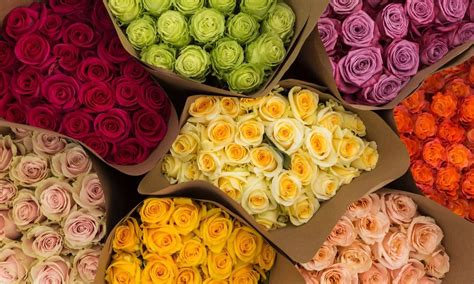 Roses: The Ever-Popular Choice