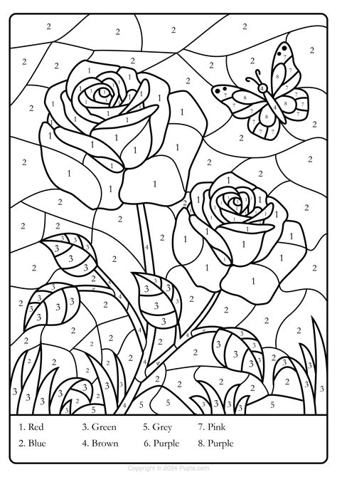 Roses Color By Number