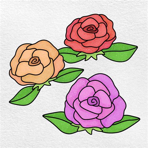 Roses In Drawing