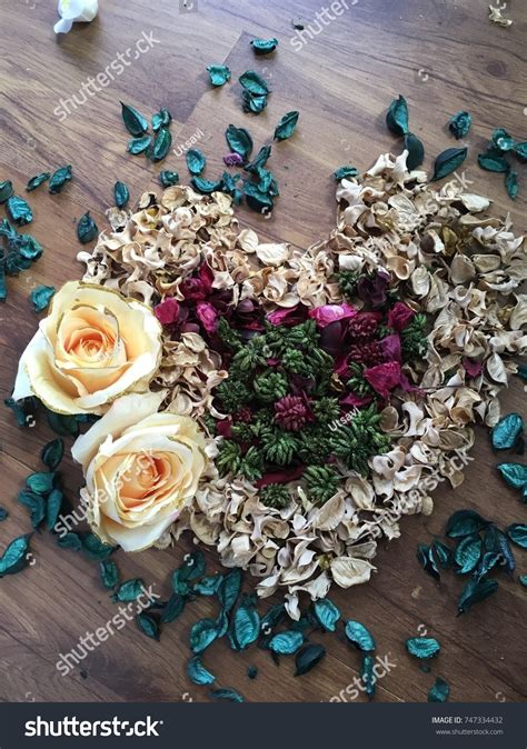 Roses Symbols of Love