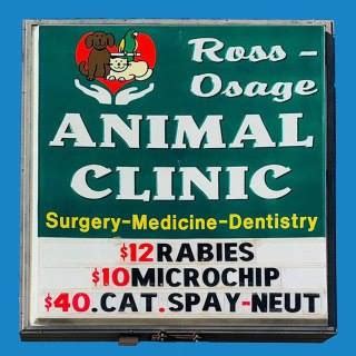 Expert Pet Care at Ross Osage Animal Clinic, the Top Animal Hospital in Amarillo TX