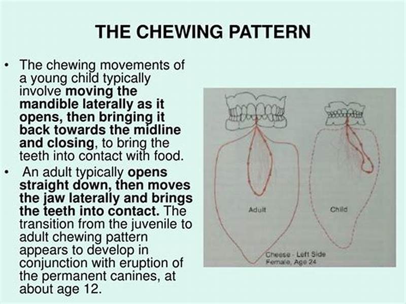 Rotary Chewing Pattern