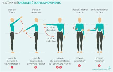 Rotator Muscle Rom Chart