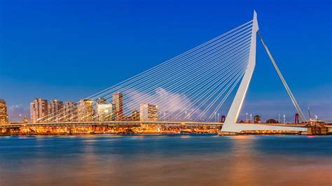 Rotterdam Erasmusbrug