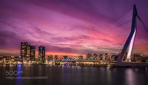Rotterdam Photography