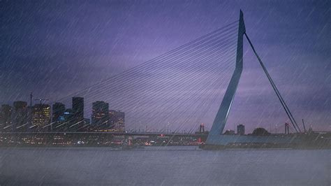 Rotterdam Rain